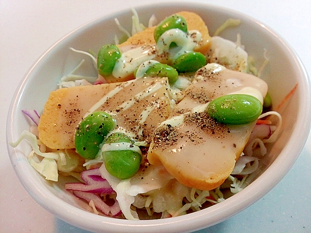 千切り野菜と玉子焼きと枝豆のシーザーサラダ