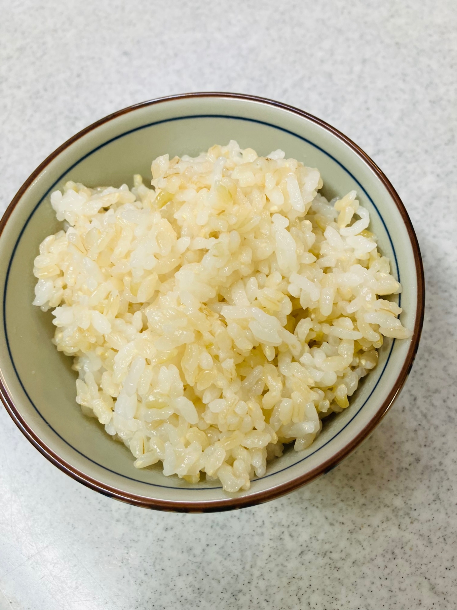 白米入り発芽玄米ご飯
