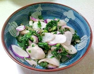 青い小鉢に盛り付けた日野菜の浅漬け