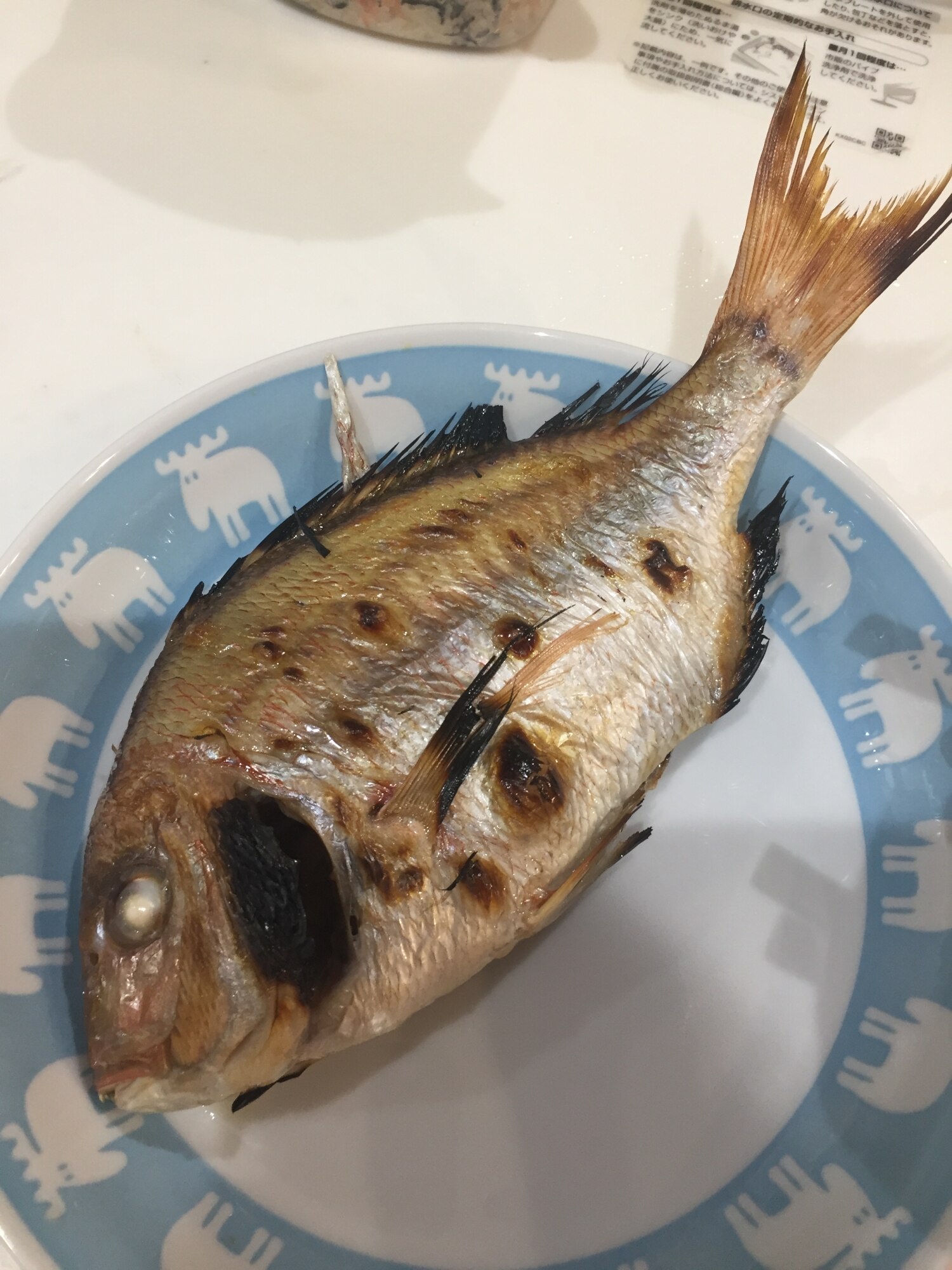 チダイ 塩焼き お食い初め