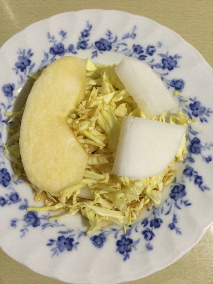 サラダ菜とレタスとトマトときゅうりのサラダ