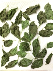 ミルなしで簡単 自家製ドライバジル作り方 保存方法 レシピ 作り方 By M H 楽天レシピ ミルなしで簡単 自家製ドライバジル作り方 保存方法 レシピ 作り方 By M H 楽天レシピ