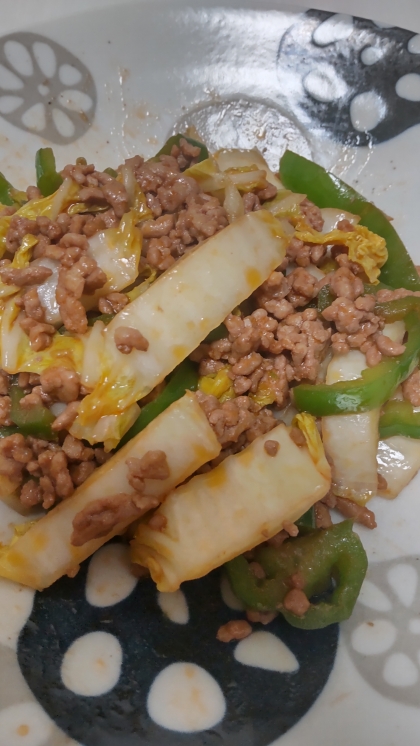 ５分！？白菜と合い挽き肉の炒め物♪（ケチャ他の味）