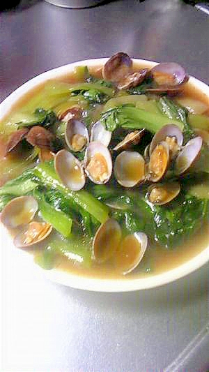 チンゲンサイとあさりのオイスターソース煮