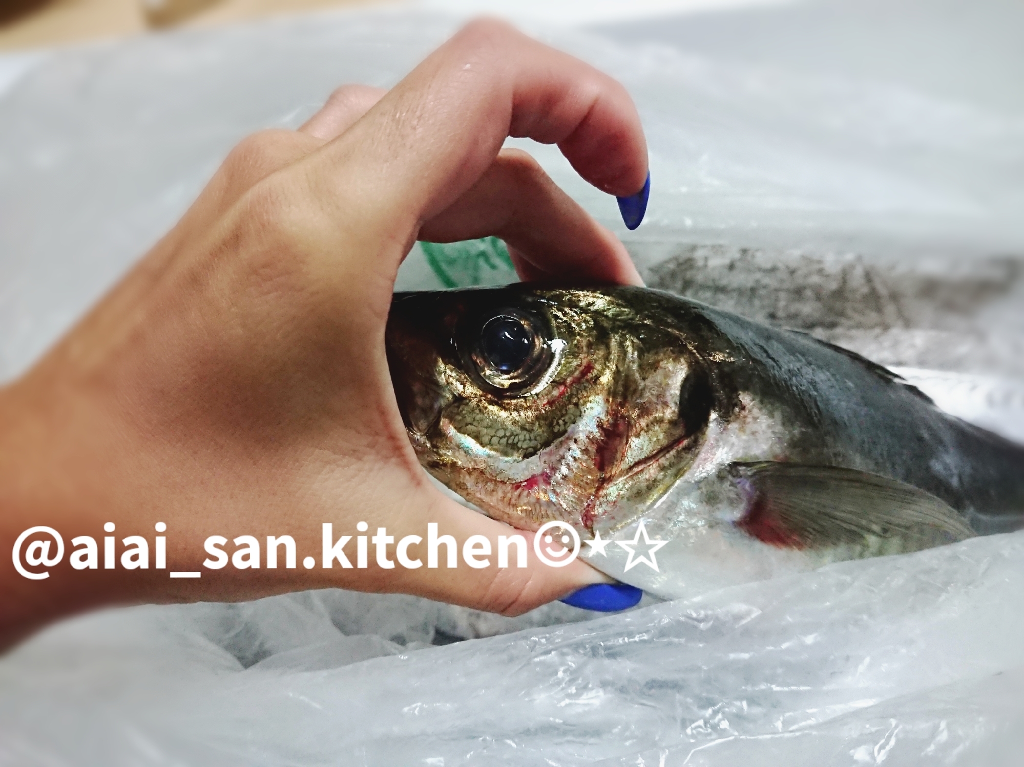 鯵 さばき方 冷凍保存 2 3週間 画像あり レシピ 作り方 By 愛愛さん 基本画像レシピ Instagramも同じ 楽天レシピ 鯵 さばき方 冷凍保存 2 3週間 画像あり レシピ 作り方 By 愛愛さん 基本画像レシピ Instagramも同じ 楽天レシピ