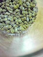 山椒の塩漬け レシピ 作り方 By 羽p 楽天レシピ 山椒の塩漬け レシピ 作り方 By 羽p 楽天レシピ