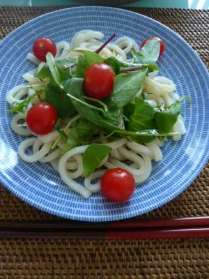 ちょっとしたお昼に。サラダうどん