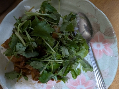 きざんだ大葉をたっぷりのせて☆美味しいキーマカレー