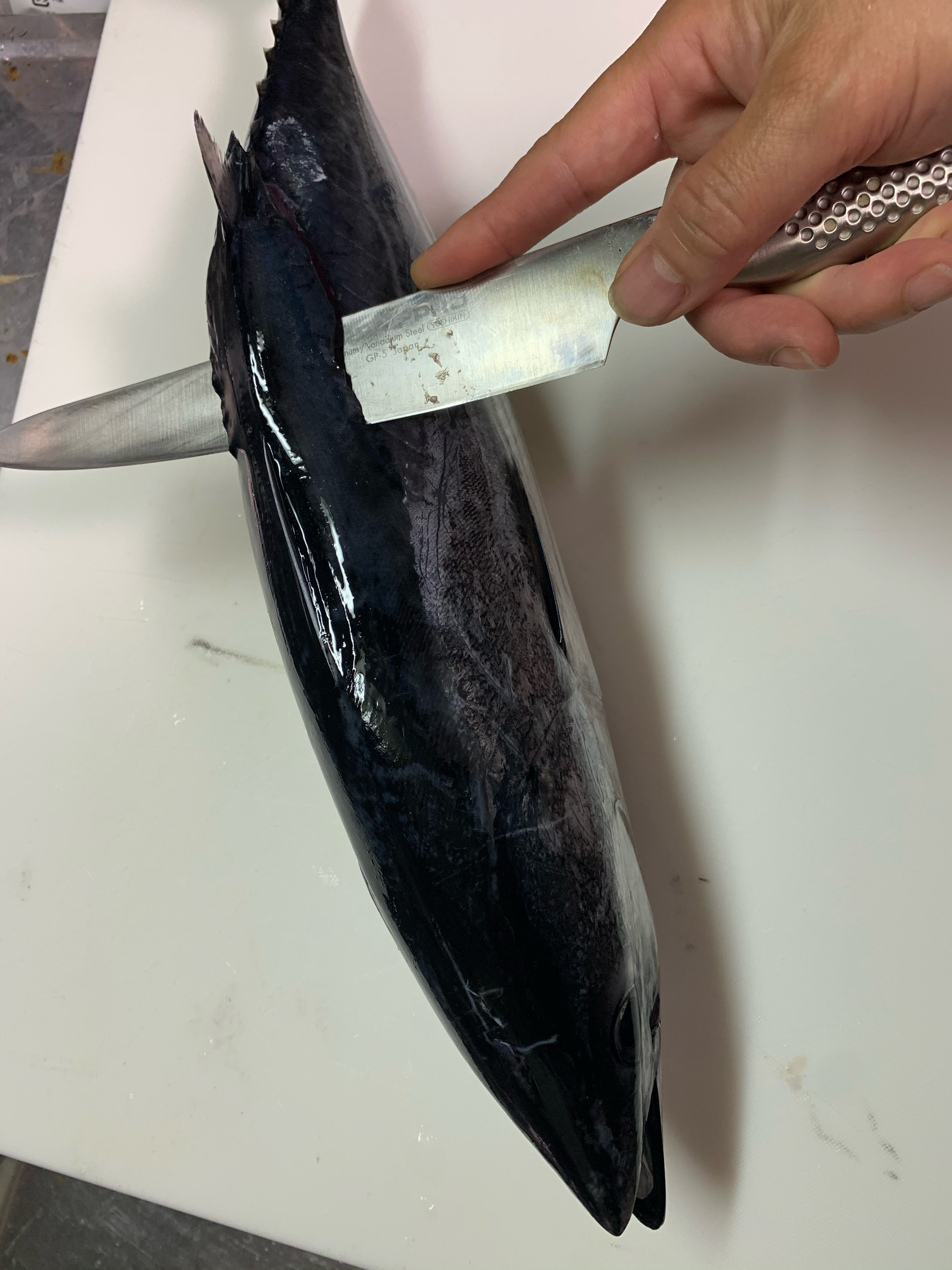 簡単で本格派 カツオの捌き方 レシピ 作り方 By 魚魚まんま 楽天レシピ 簡単で本格派 カツオの捌き方 レシピ 作り方 By 魚魚まんま 楽天レシピ