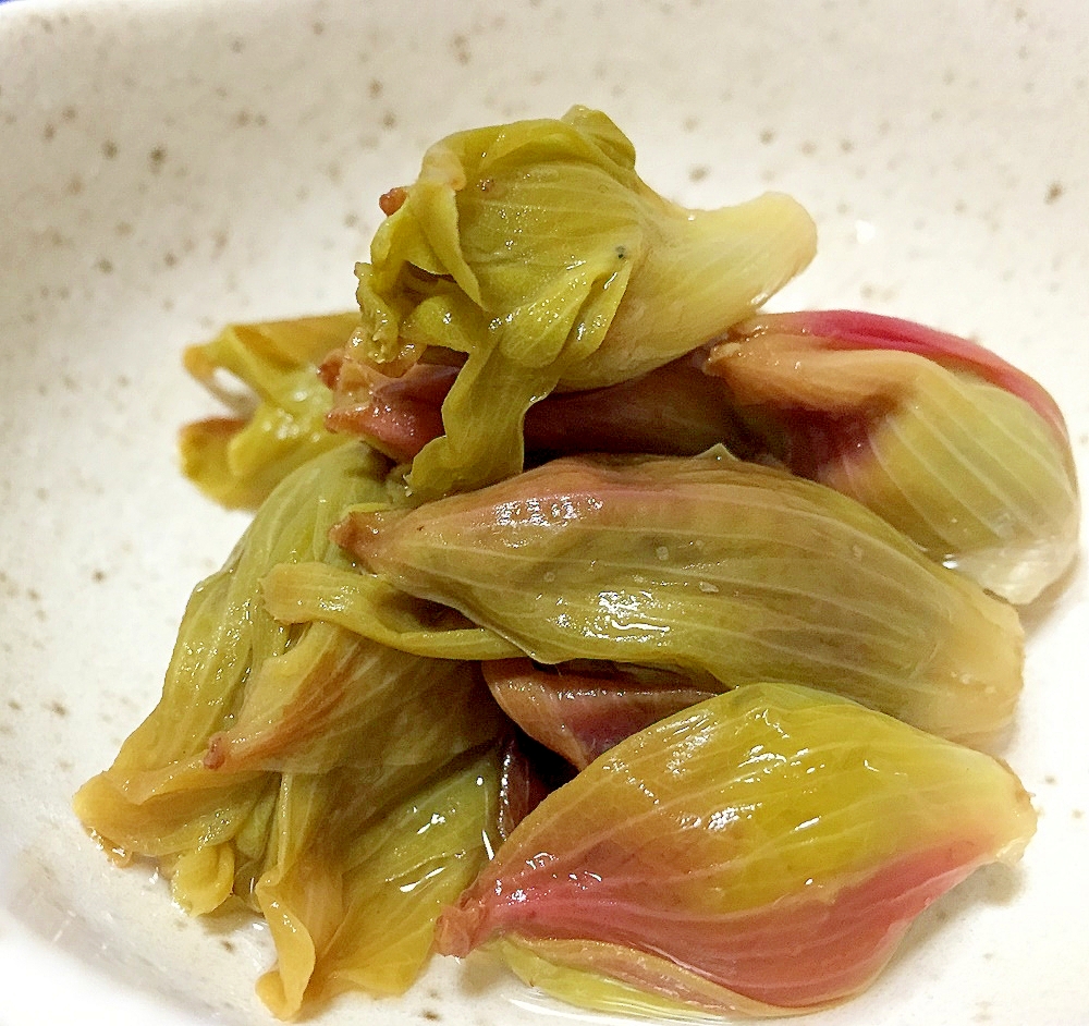 蕗の薹(ふきのとう)のピクルス おいしくて保存も◎