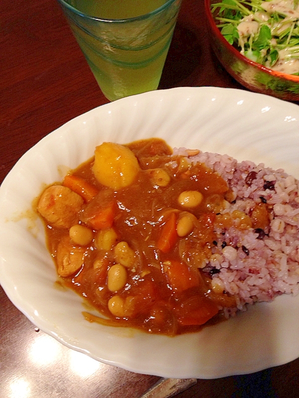 大豆入りチキンカレー