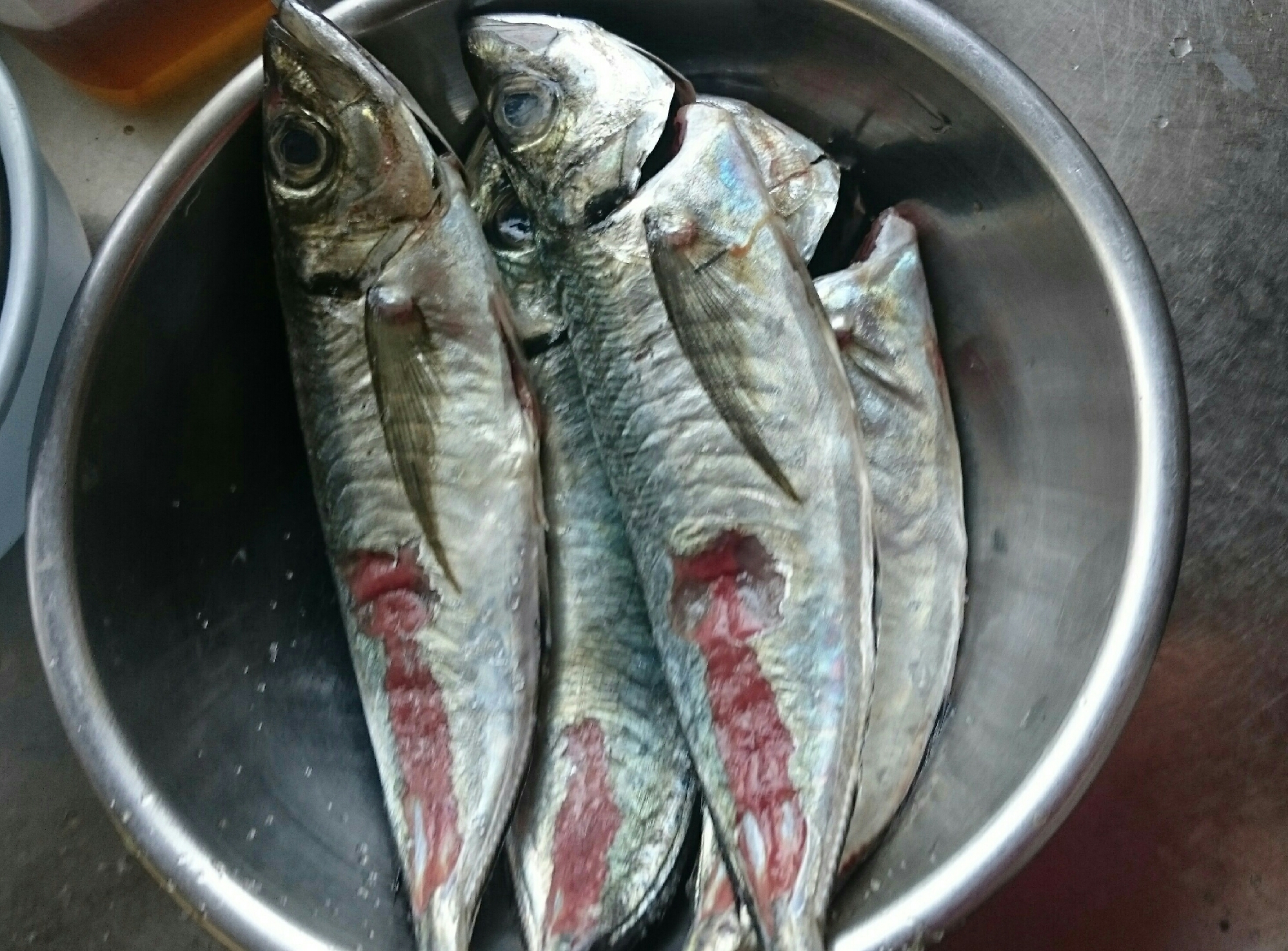 アジのさばき方 レシピ 作り方 By ひかりmam 楽天レシピ アジのさばき方 レシピ 作り方 By ひかりmam 楽天レシピ