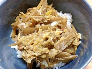 食物繊維たっぷり　ごぼう丼