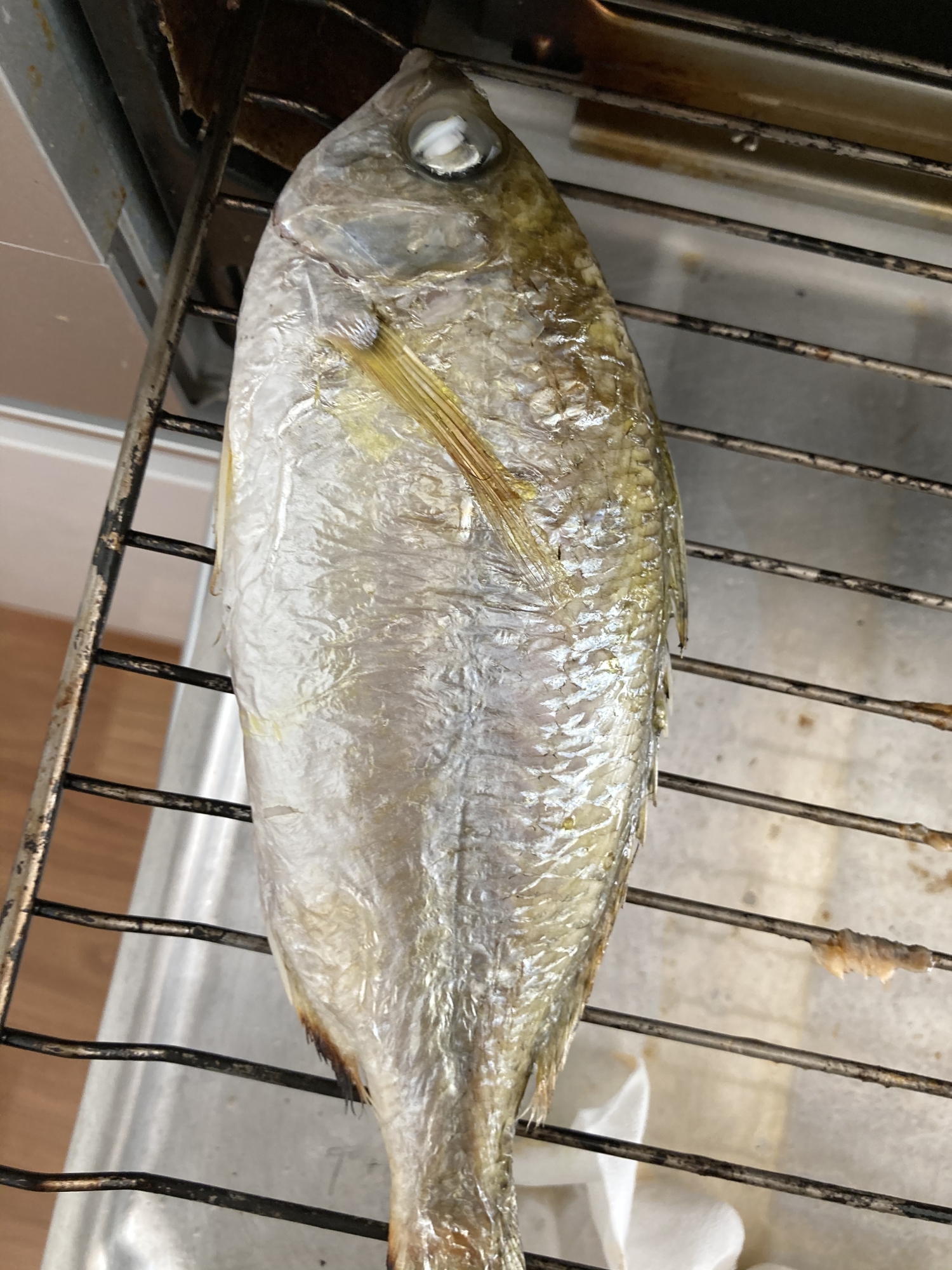 脂ののった塩グチ魚 レシピ 作り方 By へんてこへんてこママ 楽天レシピ 脂ののった塩グチ魚 レシピ 作り方 By へんてこへんてこママ 楽天レシピ