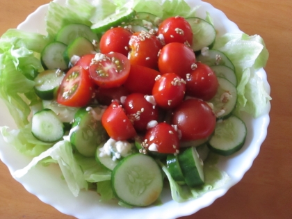 今が旬の野菜をたーっぷり美味しくいただきました(*^_^*)