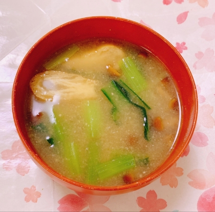 小松菜・しめじ・油揚げの液体みそ味噌汁