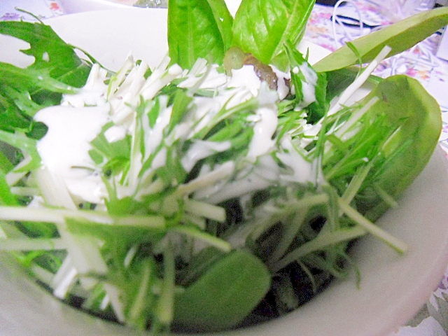 水菜とベビーリーフのグリーンサラダ