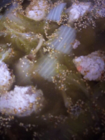 冬にあったか鶏団子と白菜の鍋