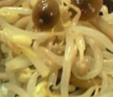 山椒香る♡春菊もやしブナピーの胡桃&胡麻味噌和え