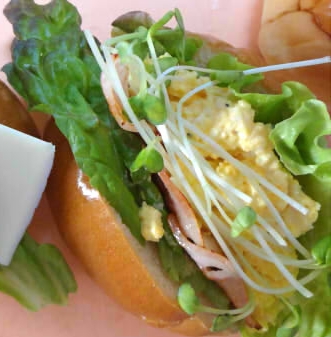 ライ麦ロールパン de ハム卵野菜サンド