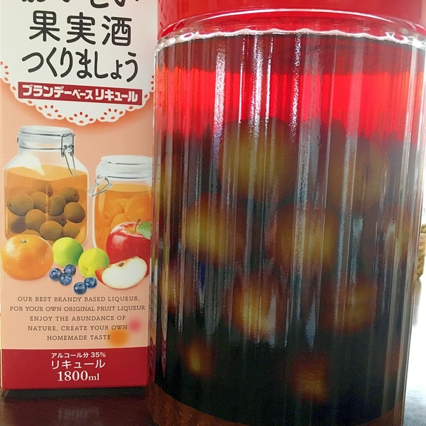 我が家の黒糖ブランデー梅酒 レシピ 作り方 By わんなん 楽天レシピ 我が家の黒糖ブランデー梅酒 レシピ 作り方 By わんなん 楽天レシピ