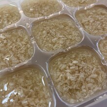 離乳食中期 基本のささみ レシピ 作り方 By りーり 楽天レシピ 離乳食中期 基本のささみ レシピ 作り方 By りーり 楽天レシピ