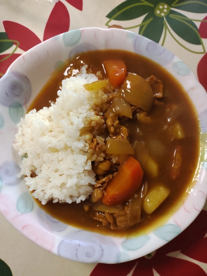 キャンプに☆カレー