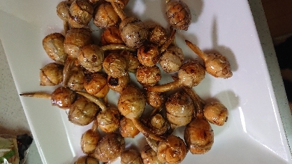 くわいの素揚げ
