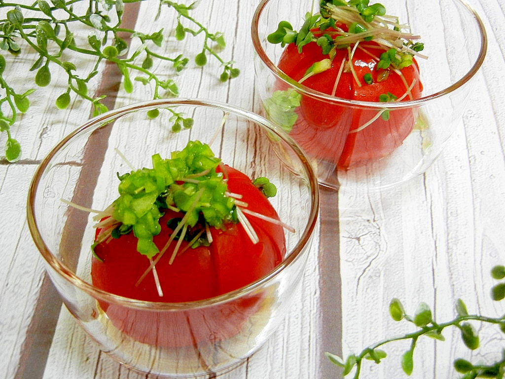 トマトとブロッコリースプラウトのサラダ～山葵醤油で