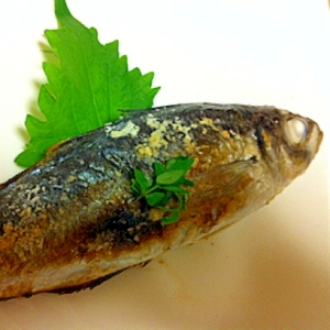 皮がパリッ ふあふあアジの塩麹焼き レシピ 作り方 By Mimihiziri 楽天レシピ 皮がパリッ ふあふあアジの塩麹焼き レシピ 作り方 By Mimihiziri 楽天レシピ