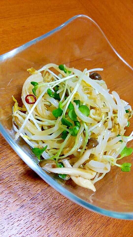 しめじとモヤシとかいわれ大根のイタリアンサラダ レシピ 作り方 By にゃんこすけ321 楽天レシピ