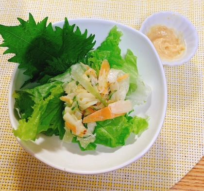 簡単✿美味しい味噌マヨネーズ＆野菜サラダ✿