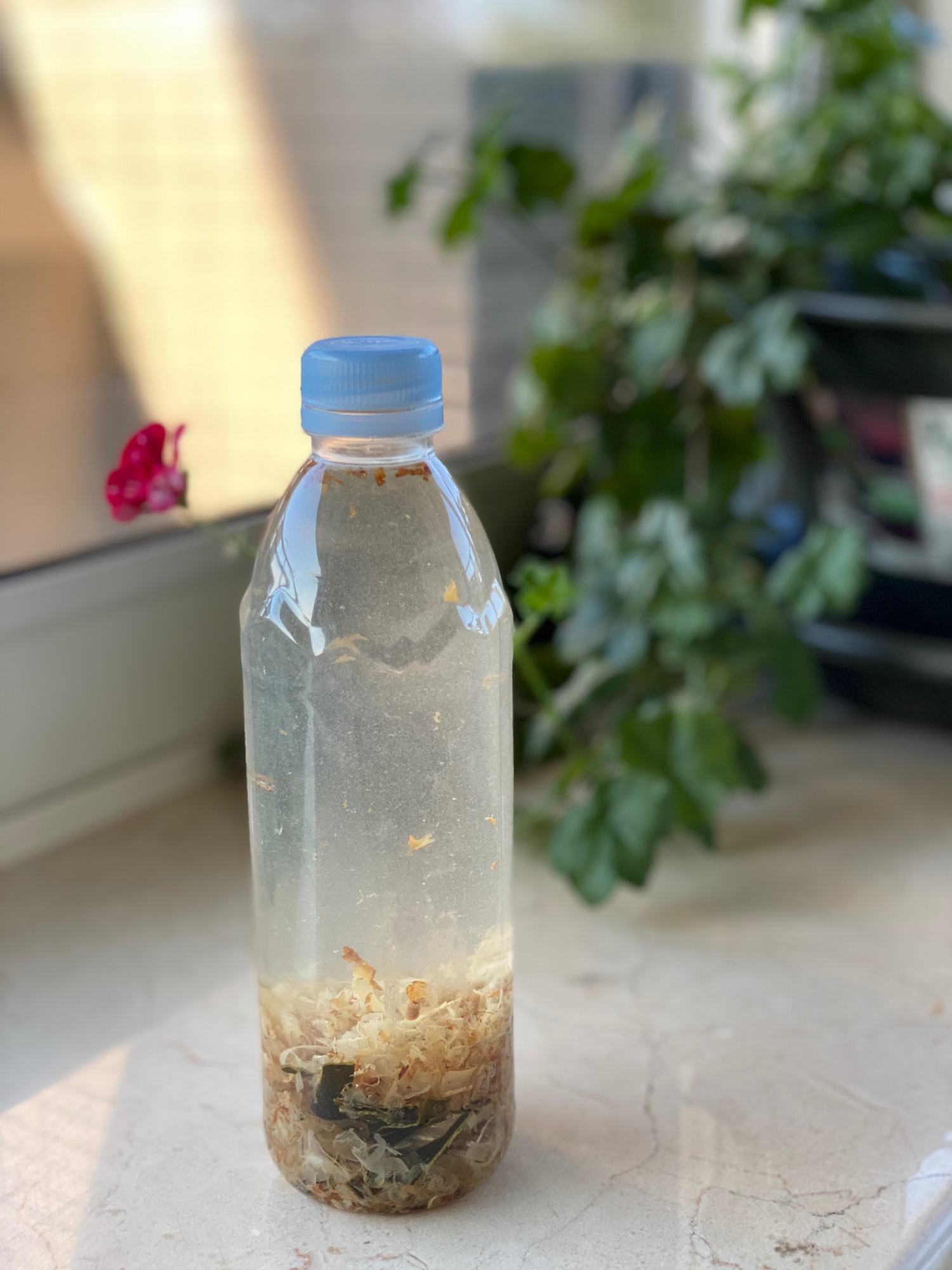 かつおと昆布出汁 ペットボトルで冷蔵庫作りおき レシピ 作り方 By ゆみたろう 目指せ細マッチョ 楽天レシピ