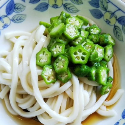 オクラ入り麺つゆうどん