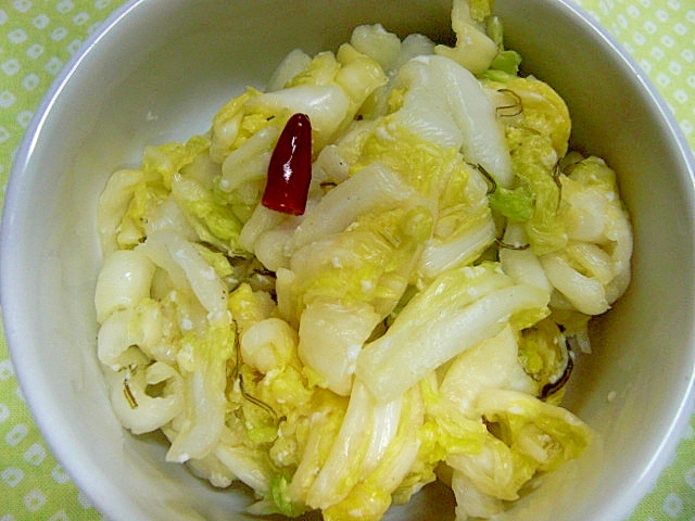 白菜の即席漬け