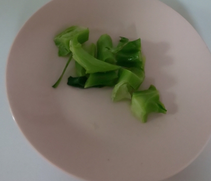 ブロッコリーの茎のペペロンチーノ