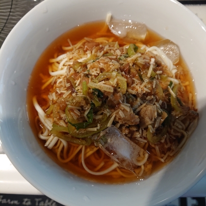 梅とねぎの冷やしうどん