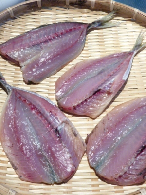 自家製!塩分が絶妙な♪鯵の干物。