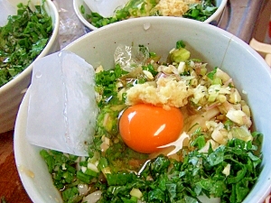 あおさ入り冷やしうどん