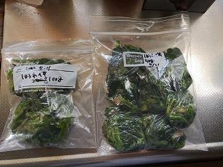 ほうれん草の冷凍保存☆いつでも使えて便利