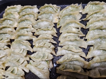 大量に作って、餃子食べ放題の夕食になりました。美味しかったです❗