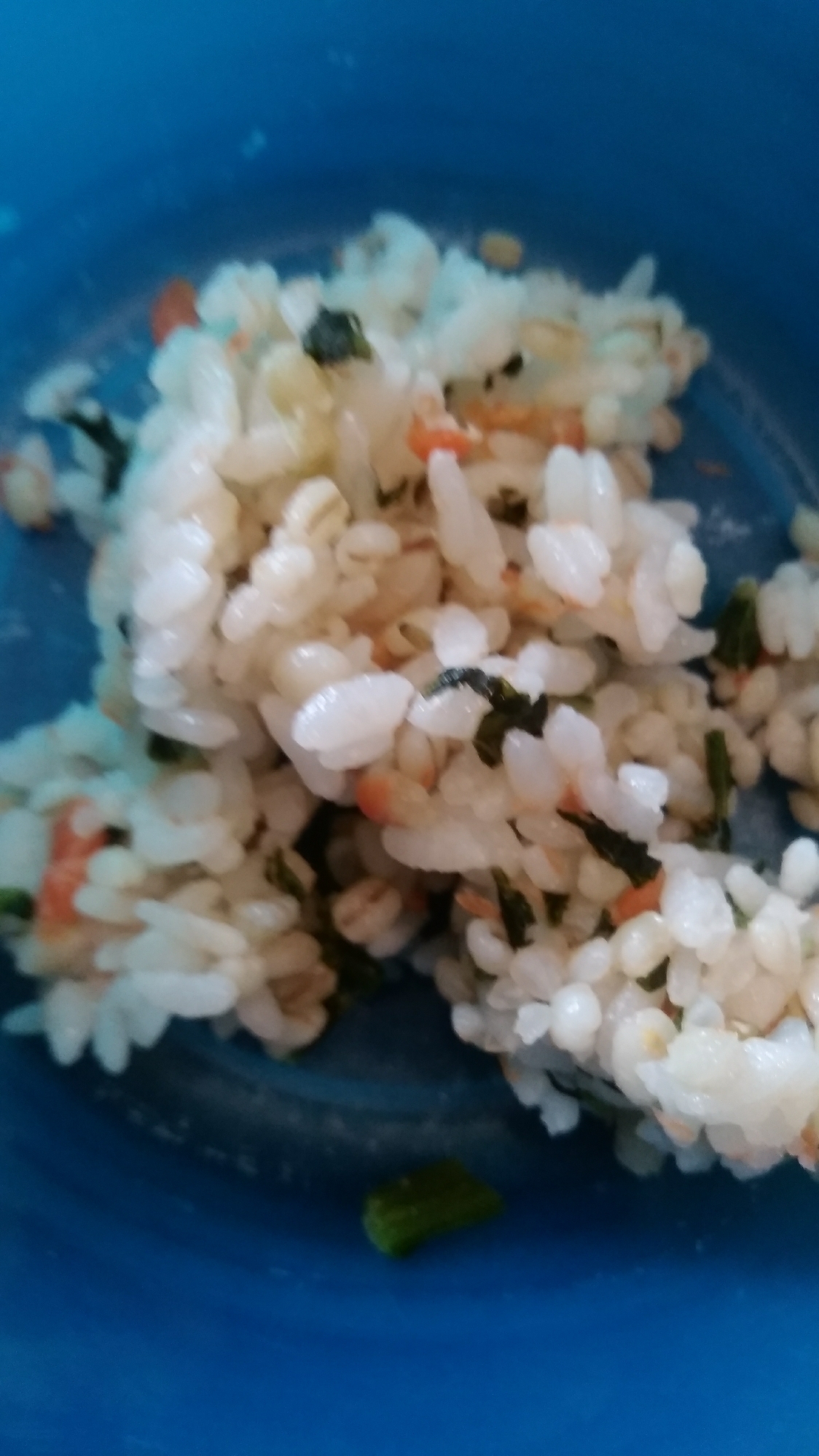 ひじき鮭玄米ご飯