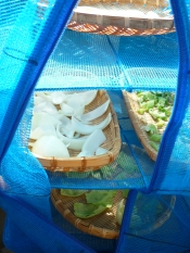 干し野菜 くし形 たまねぎの巻 レシピ 作り方 By Megmako 楽天レシピ 干し野菜 くし形 たまねぎの巻 レシピ 作り方 By Megmako 楽天レシピ