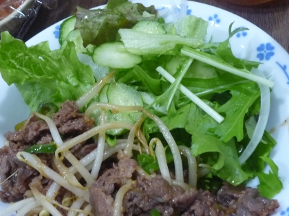 今回は牛肉の炒めたのに付け合せました～＾＾
サラダ→肉→サラダ→肉→サラダ…（時々ご飯、味噌汁）お肉料理にmegちゃんのサラダはかかせません！