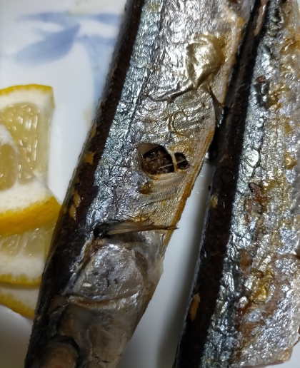 塩さんま<・))><グリル焼き（ポン酢）