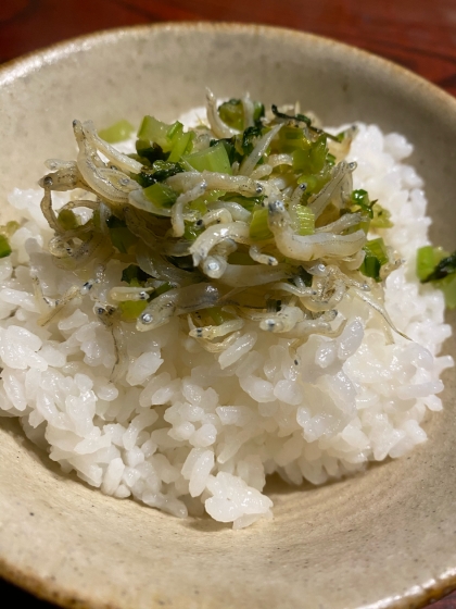 野菜嫌いな子が食べた！カブの葉としらすのふりかけ