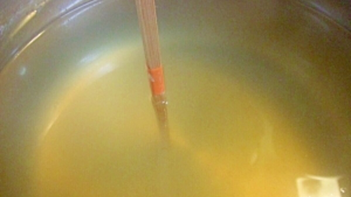 天草を煮て作ったぷるぷる寒天 レシピ 作り方 By Iihi009 楽天レシピ 天草を煮て作ったぷるぷる寒天 レシピ 作り方 By Iihi009 楽天レシピ