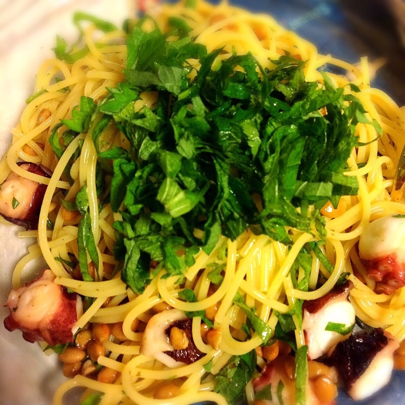 たこ納豆 e4cf9fc1fe8888cfd718aaf1c89e22