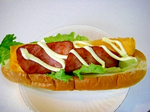 焼き豚と卵のホットドッグ♪