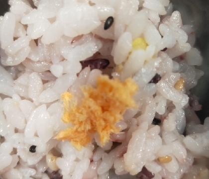 今日のお弁当のおにぎり(雑穀米と鮭)